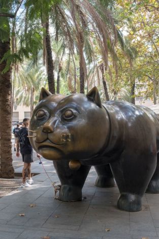 no respect, Barcelona 2018